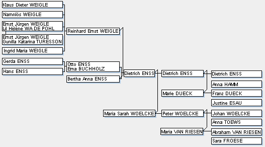 Bild 5  Ahnentafel Enss und andere